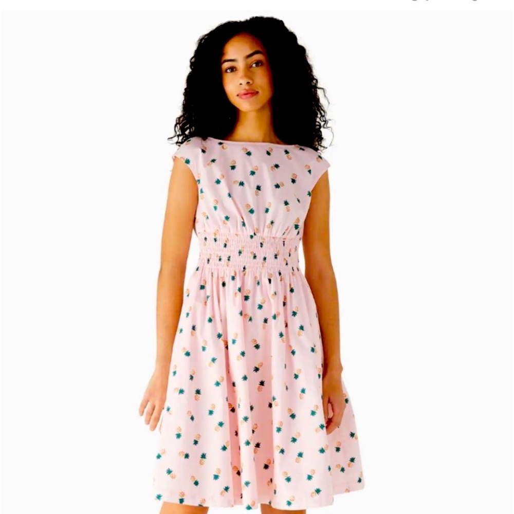 NWTKate Spade Blaire Pineapple dress sz.XL